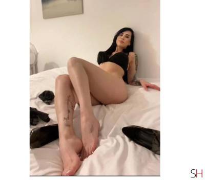 Dani 28Yrs Old Escort Edinburgh Image - 10