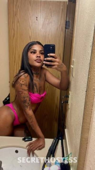 ExoticDoll🎀 20Yrs Old Escort Houston TX Image - 2