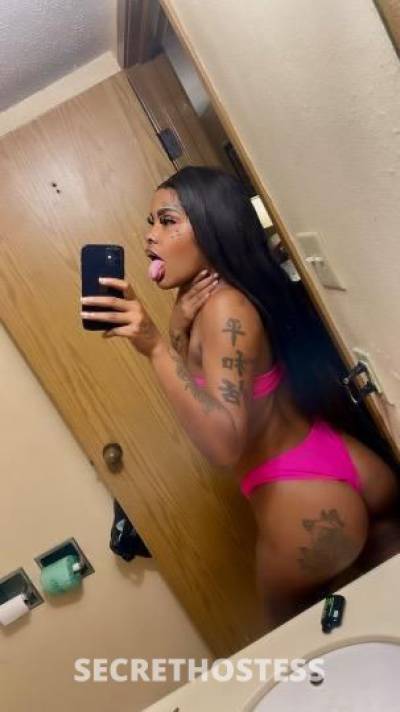 ExoticDoll🎀 20Yrs Old Escort Houston TX Image - 3