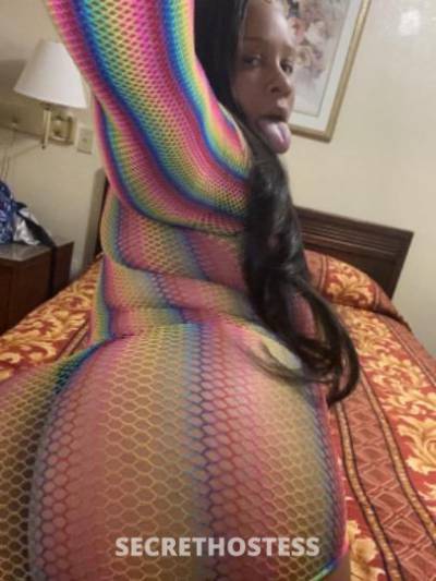 Henny 20Yrs Old Escort Los Angeles CA Image - 3