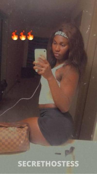 Leelee 23Yrs Old Escort Dallas TX Image - 1