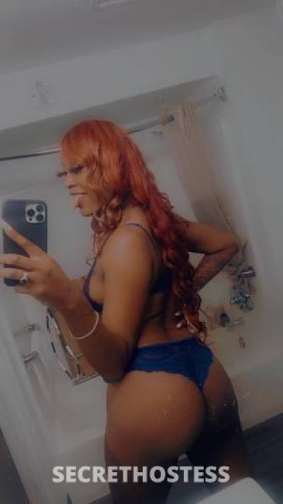 INCALL/OUTCALL🏩🚦🚘 (Phendii Exoticc💦😻🌴 SEXY in College Station TX
