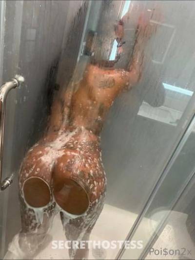 Poison 23Yrs Old Escort Memphis TN Image - 4