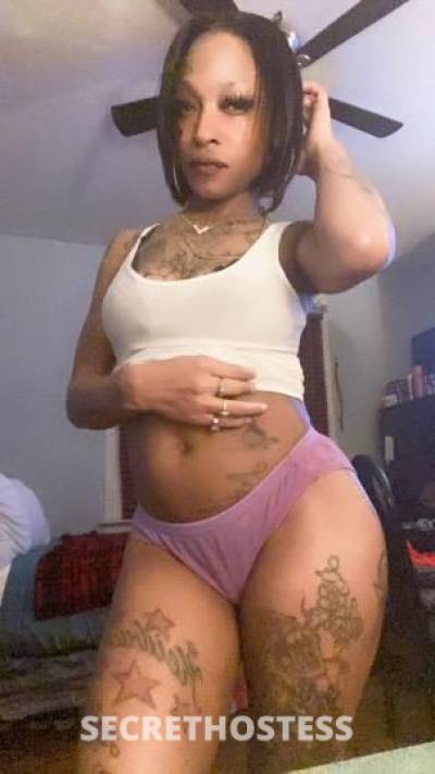 Slimm 26Yrs Old Escort 162CM Tall Nashville TN Image - 8