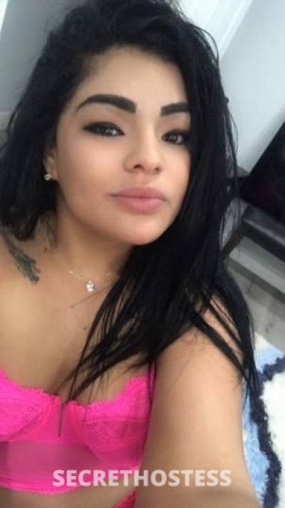 Sophia Latina 27Yrs Old Escort Tampa FL Image - 1