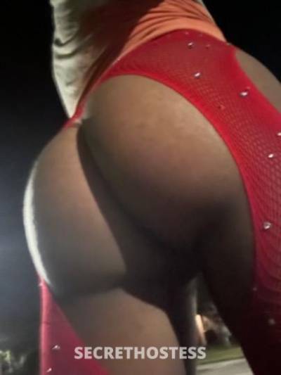 Tayy 24Yrs Old Escort Gainesville FL Image - 0