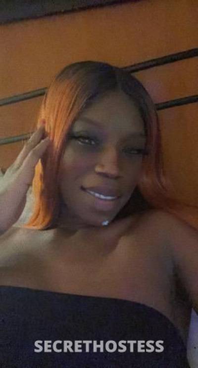 WetCoco 24Yrs Old Escort Little Rock AR Image - 6