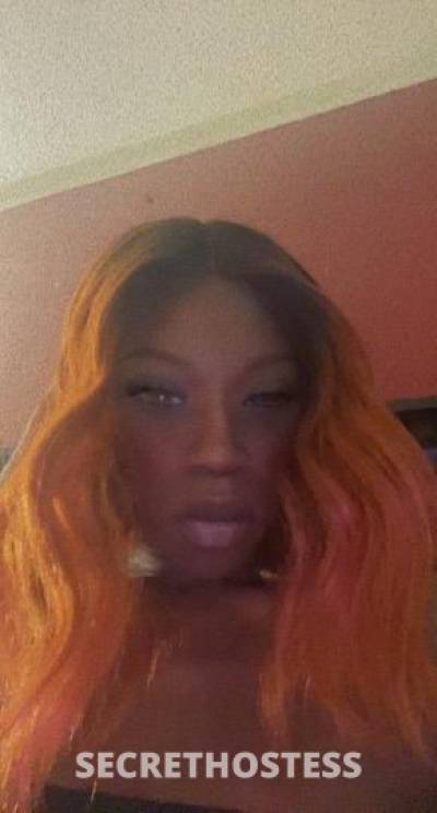 WetCoco 24Yrs Old Escort Little Rock AR Image - 7