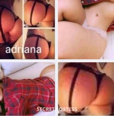 adriana 31Yrs Old Escort Tampa FL Image - 4