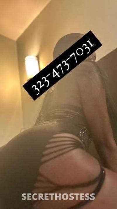 21Yrs Old Escort Los Angeles CA Image - 1