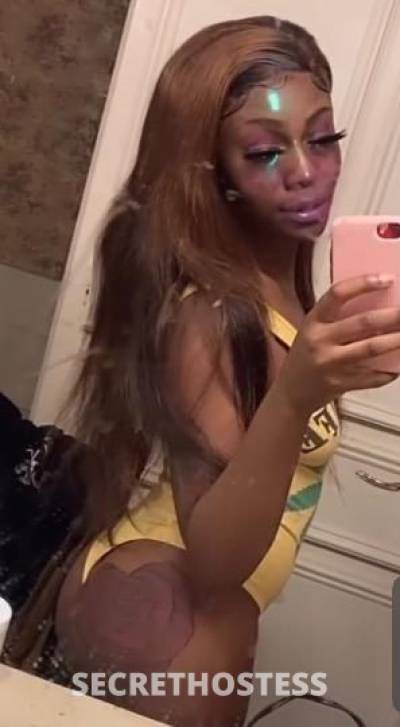 23Yrs Old Escort Houston TX Image - 1