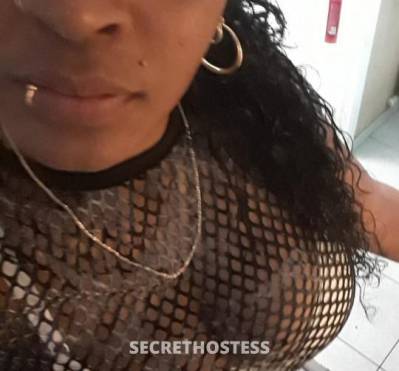 24Yrs Old Escort San Diego CA Image - 2