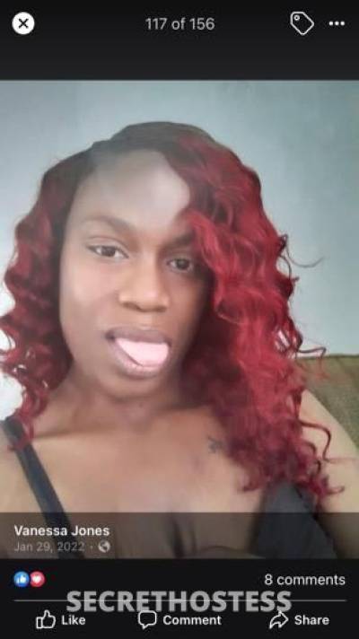 25Yrs Old Escort Miami FL Image - 1