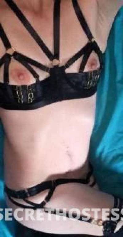 35Yrs Old Escort Size 8 158CM Tall Townsville Image - 5