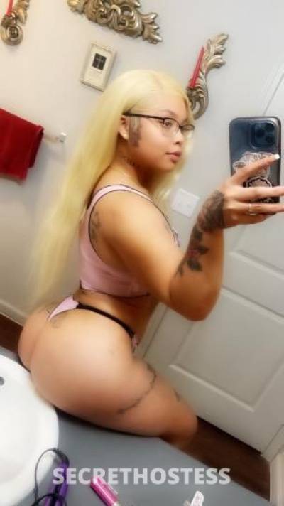 AlexisAlexis 23Yrs Old Escort Saint Louis MO Image - 1