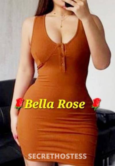 BellaRose 26Yrs Old Escort Lowell MA Image - 2