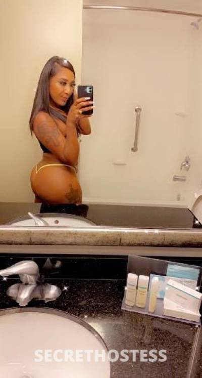 Cindy 24Yrs Old Escort San Buenaventura CA Image - 6