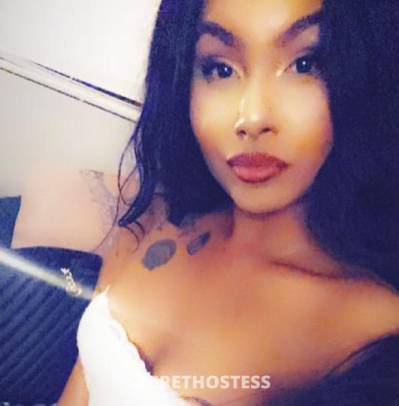 Gia 24Yrs Old Escort Nashville TN Image - 2