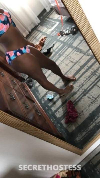 Kaydee 26Yrs Old Escort Dallas TX Image - 5