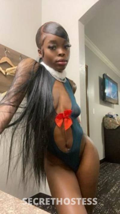 Lex 25Yrs Old Escort Memphis TN Image - 2
