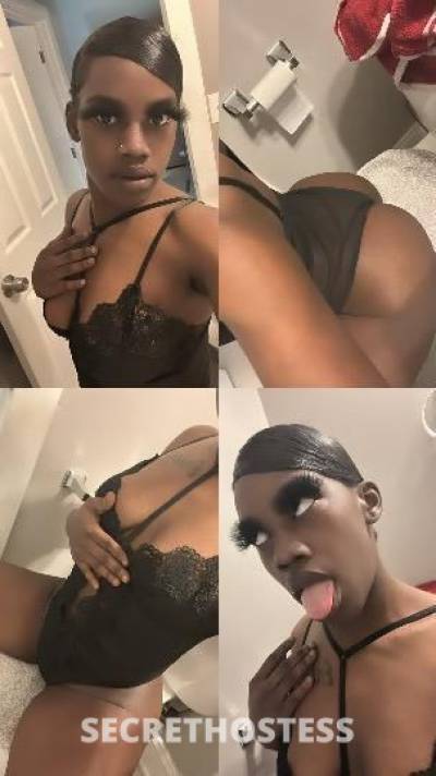 Lil?Chocolate?? 20Yrs Old Escort Chicago IL Image - 2