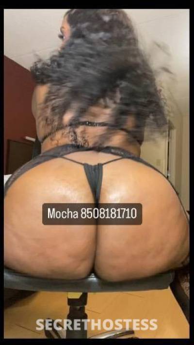 Mocha 24Yrs Old Escort Tallahassee FL Image - 1