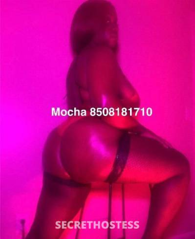 Mocha 24Yrs Old Escort Tallahassee FL Image - 2