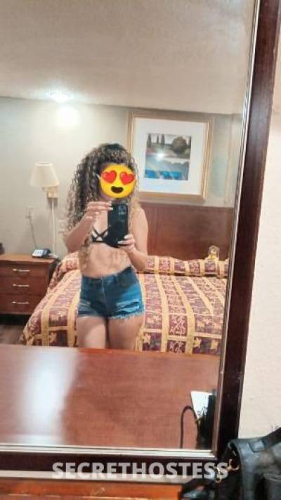 Shakira 28Yrs Old Escort Dallas TX Image - 4