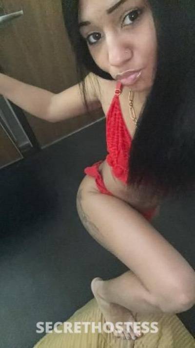 Treasure 21Yrs Old Escort 144CM Tall Wichita KS Image - 2