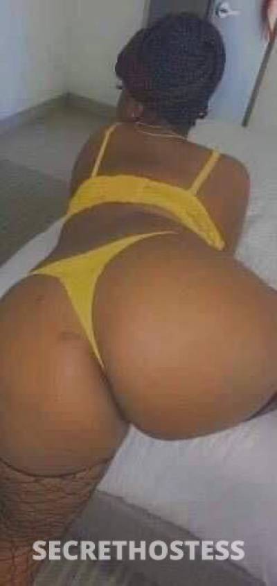 coco🍫 25Yrs Old Escort Columbia SC Image - 0