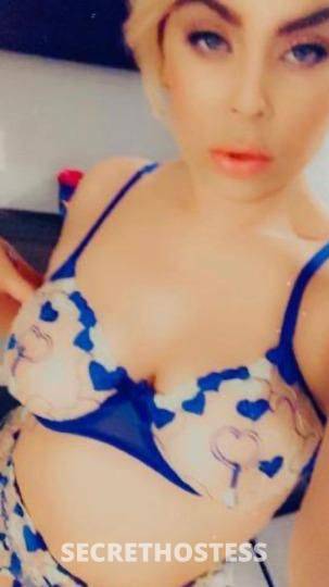 LolaBunnii 27Yrs Old Escort North Bay CA Image - 1