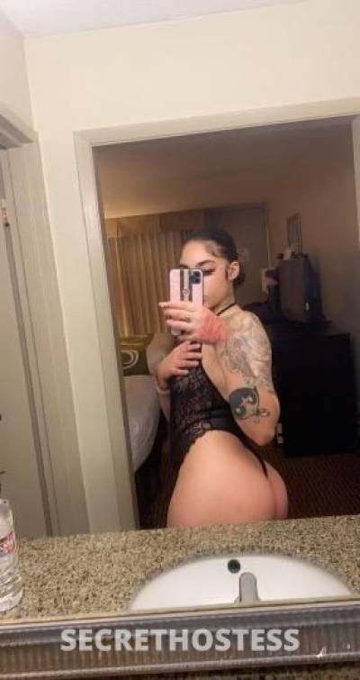 22Yrs Old Escort 162CM Tall Houston TX Image - 1