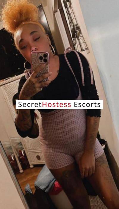 23 year old American Escort in Belfast Emily