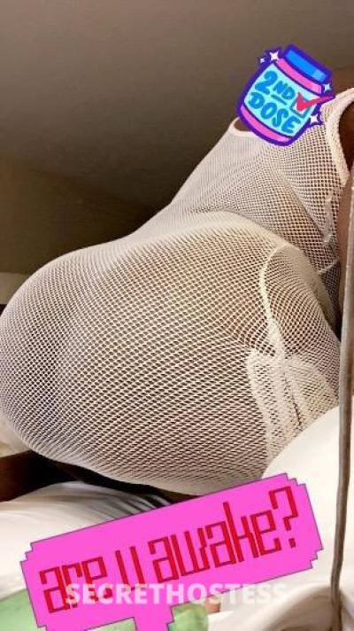 24 year old American Escort in Rochester NY ?E?B?O?N?Y Queen Young Hot Girl?? Sexy Boobs ?Need For 