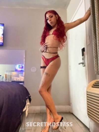 26Yrs Old Escort West Palm Beach FL Image - 1