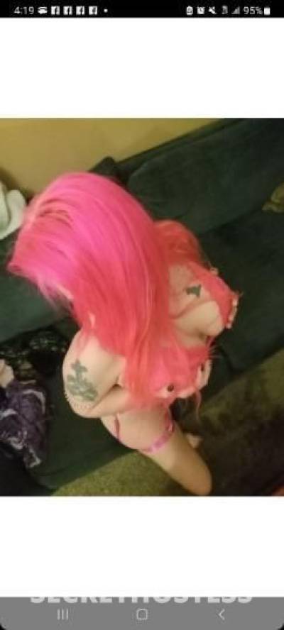 AllieRae 27Yrs Old Escort Tampa FL Image - 3