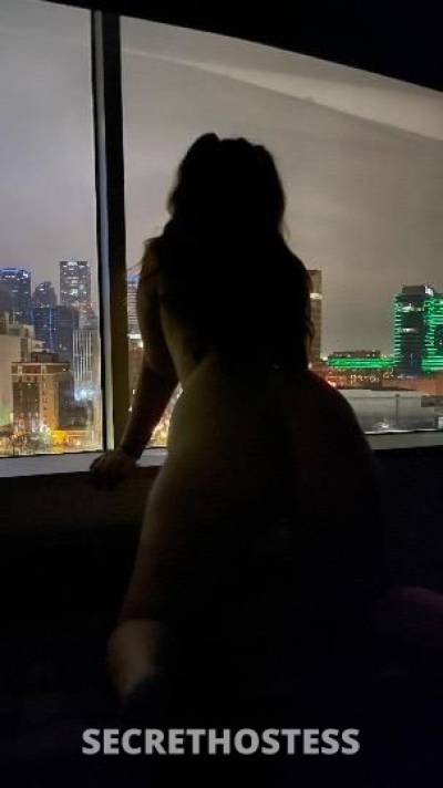 Arial 24Yrs Old Escort Dallas TX Image - 4