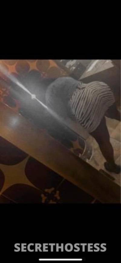 CHOCOLATE 28Yrs Old Escort Washington DC Image - 0