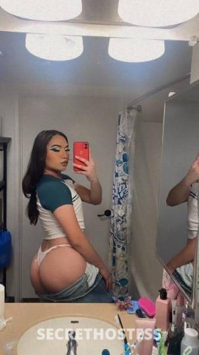 Chunli 20Yrs Old Escort San Diego CA Image - 5