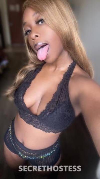 Cinnamon👑 23Yrs Old Escort Southern Maryland DC Image - 2