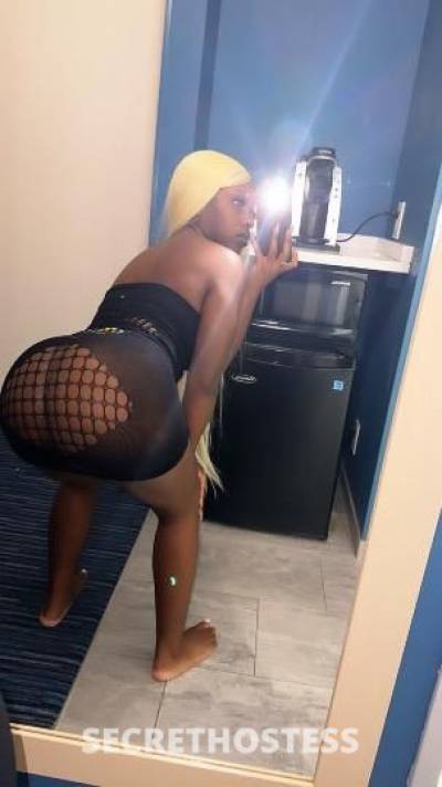 Cinnamon👑 23Yrs Old Escort Southern Maryland DC Image - 4