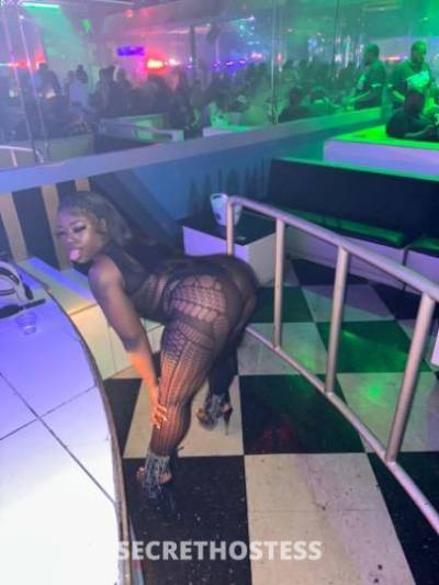 Coco 23Yrs Old Escort Brooklyn NY Image - 4