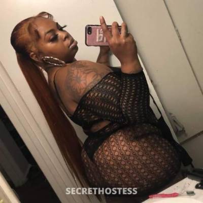 Frenchie 30Yrs Old Escort Saint Louis MO Image - 4