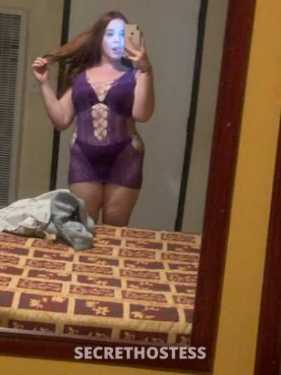 Gia 24Yrs Old Escort Los Angeles CA Image - 3