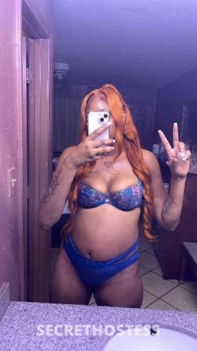 Honey 23Yrs Old Escort Baton Rouge LA Image - 1