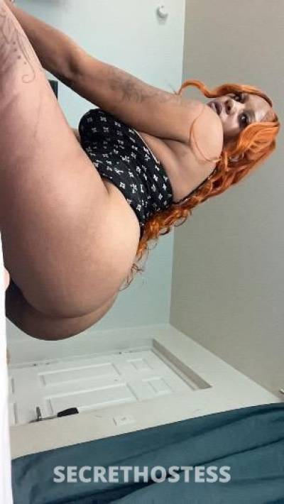 Honey 23Yrs Old Escort Baton Rouge LA Image - 2