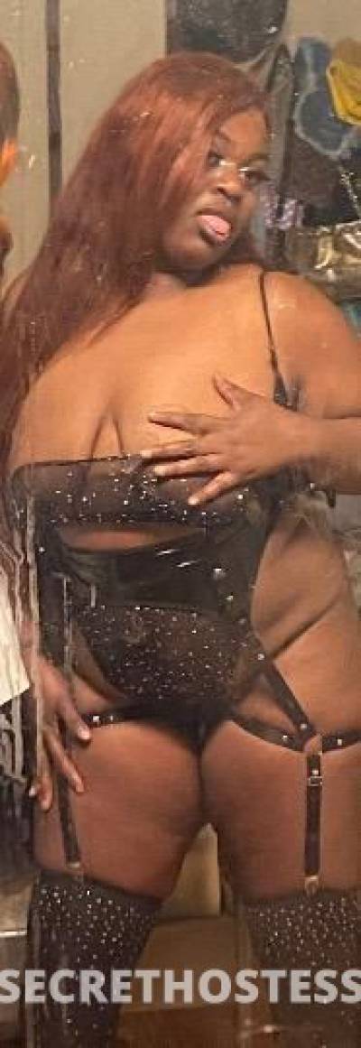 KOOKIE 22Yrs Old Escort Brooklyn NY Image - 4