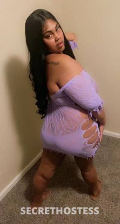 Kat 26Yrs Old Escort Los Angeles CA Image - 0