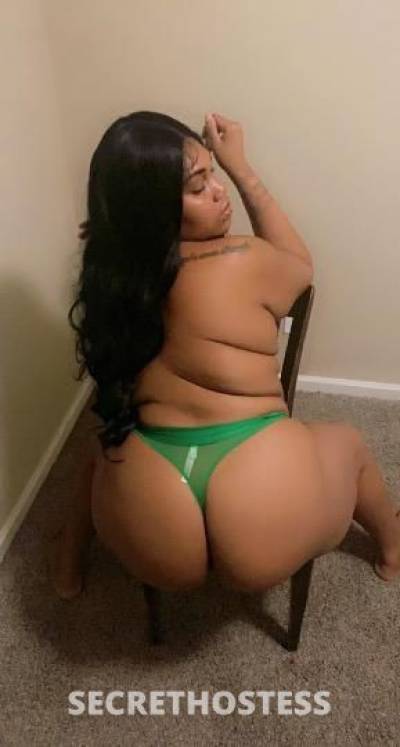 Kat 26Yrs Old Escort Los Angeles CA Image - 1