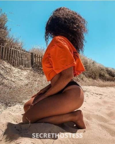 24 year old Latino Escort in West Palm Beach FL New Latina girl in the city